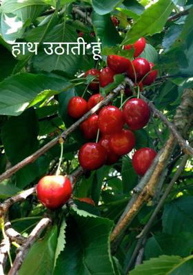 हाथ उठाती हूं