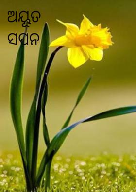 ଅୟୂତ ସପନ