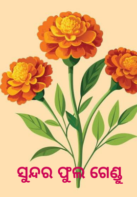 ସୁନ୍ଦର ଫୁଲ ଗେଣ୍ଡୁ 