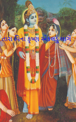તારા વિના કૃષ્ણ એકલડું લાગે...