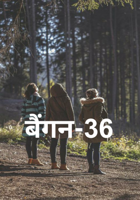 बैंगन-36