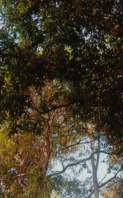 WORLD BEYOND THE EARTH