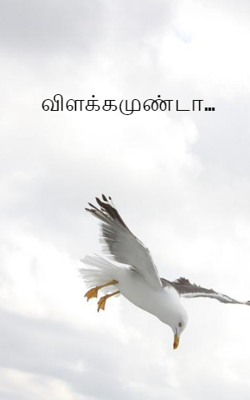 விளக்கமுண்டா...