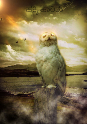 ಹಕ್ಕಿ ಹಾರಿತು