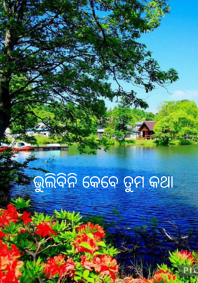ଭୁଲିବିନି କେବେ ତୁମ କଥା