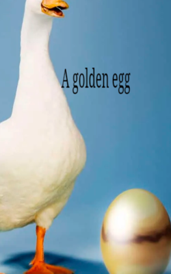 A golden egg
