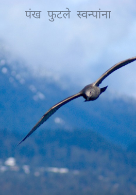 पंख फुटले स्वप्नांना