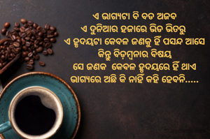ଏ ଭାଗ୍ୟଟା ବି ବଡ ଅଜବ
ଏ ଦୁନିଆର ହଜାରେ ଭିଡ ଭିତରୁ 
ଏ ହୃଦୟଟା କେବଳ ଜଣକୁ ହିଁ ପସନ୍ଦ ଆସେ
କିନ୍ତୁ ବିଡ଼ମ୍ବନାର ବିଷୟ
ସେ ଜଣକ  କେବଳ ହୃଦୟରେ ହିଁ ଥାଏ
ଭାଗ୍ୟରେ ଅଛି କି ନାହିଁ କହି ହେବନି.....