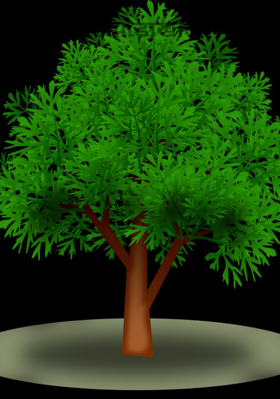 त्या झाडाखाली