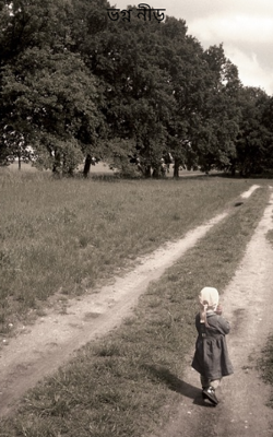 ভগ্ন নীড়