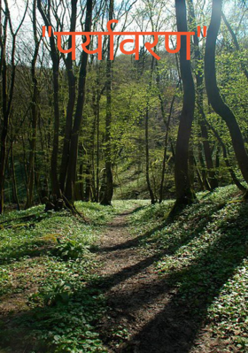 पर्यावरण