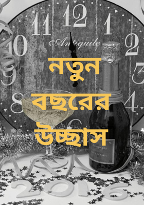 নতুন বছরের উচ্ছাস