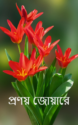 প্রণয় জোয়ারে