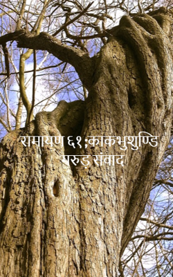 रामायण ६१ ;काकभुशुण्डि गरुड़ संवाद