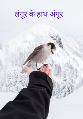 लंगूर के हाथ अंगूर