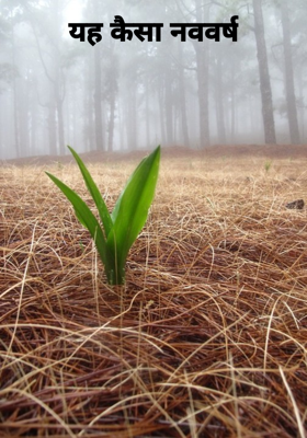 यह कैसा नववर्ष