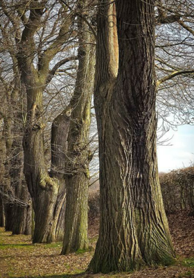 ସଂସ୍କାର