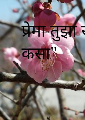 प्रेमा तुझा रंग कसा"