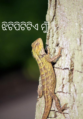 ଝିଟିପିଟିଟିଏ ମୁଁ 