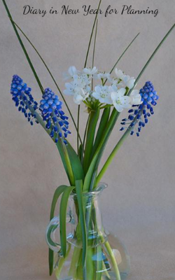 Diary in New Year for Planning