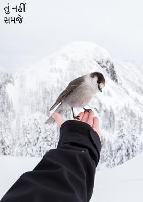 તું નહીં સમજે