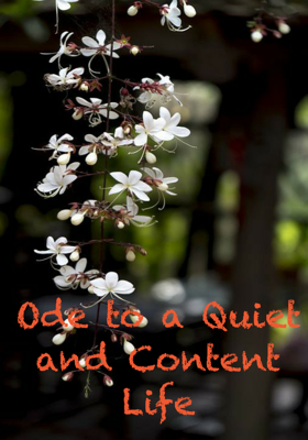 Ode to a Quiet and Content Life