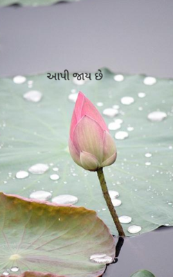 આપી જાય છે