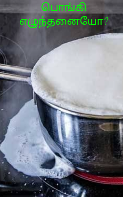 பொங்கி எழுந்தனையோ?