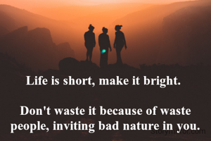 Life is short, make it bright. 

Don't waste it because of waste people, inviting bad nature in you.