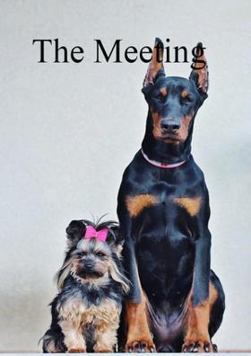 The Meeting