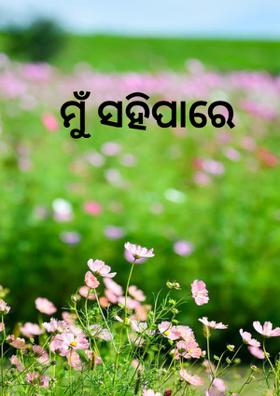 ମୁଁ ସହିପାରେ