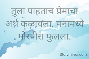 तुला पाहताच प्रेमाचा अर्थ कळायला. मनामध्ये मोरपीस फुलला.