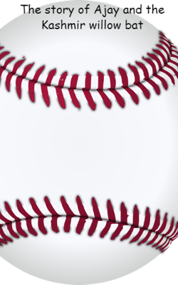 The Story Of Ajay And The Kashmir Willow Bat