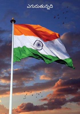 ఎగురుతున్నది