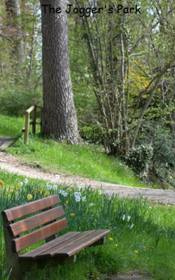 The Jogger's Park
