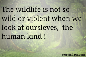 The wildlife is not so wild or violent when we look at oursleves,  the human kind !   
