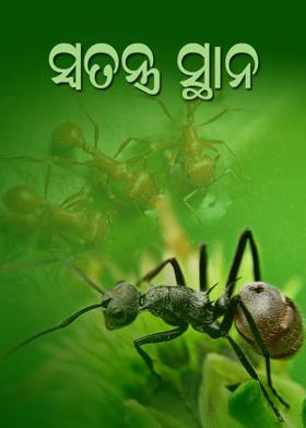 ସ୍ୱତନ୍ତ୍ର ସ୍ଥାନ