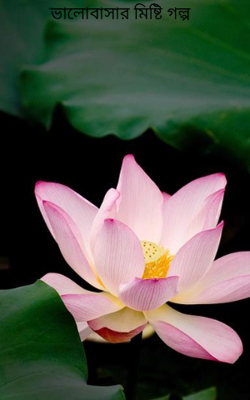 "ভালোবাসার মিষ্টি গল্প