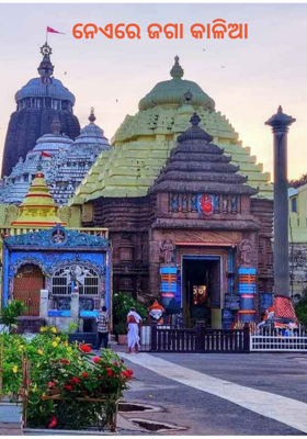 ନେଏରେ ଜଗା କାଳିଆ