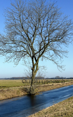 பெரிய புராணம்