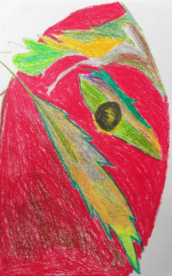 জনবিস্ফোরণ