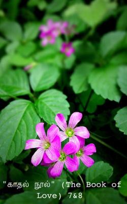 "காதல் நூல்" (The Book of Love) 7&8