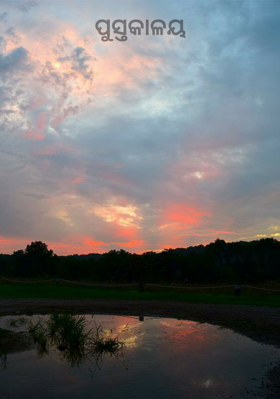 ପୁସ୍ତକାଳୟ