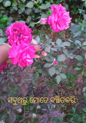 ସବୁଥିରୁ ମୋତେ ବଞ୍ଚିତକରି