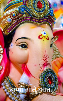 बाप्पा आले घरात.....