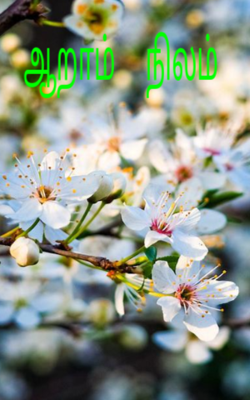 ஆறாம்  நிலம்