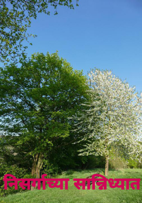 निसर्गाच्या सान्निध्यात