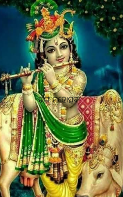 ରଙ୍ଗ ମହୋତ୍ସବ