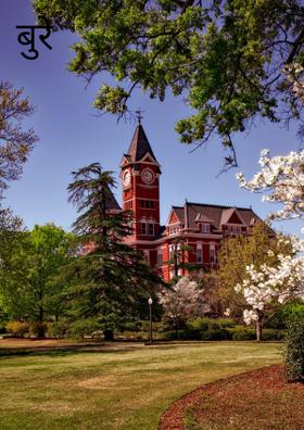 बुरे फंसे