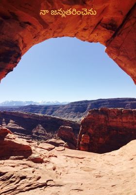 నా జన్మతరించెను